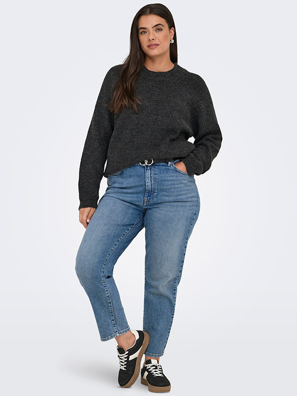 CARJADE - Plus Size Genser fra Only Carmakoma