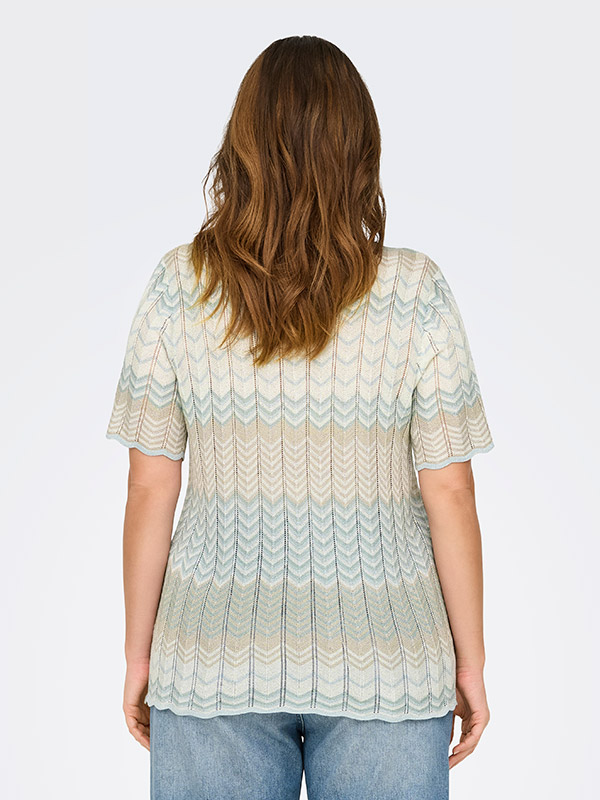 CARALVIRA - Plus Size T-shirt fra Only Carmakoma