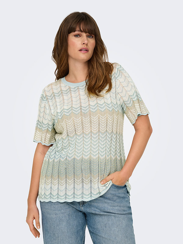 CARALVIRA - Plus Size T-shirt fra Only Carmakoma