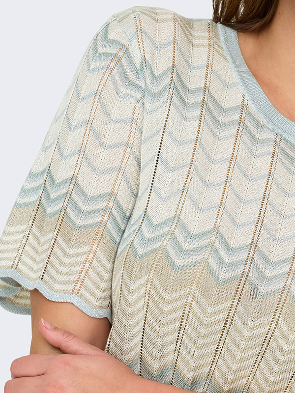 CARALVIRA - Plus Size T-shirt fra Only Carmakoma