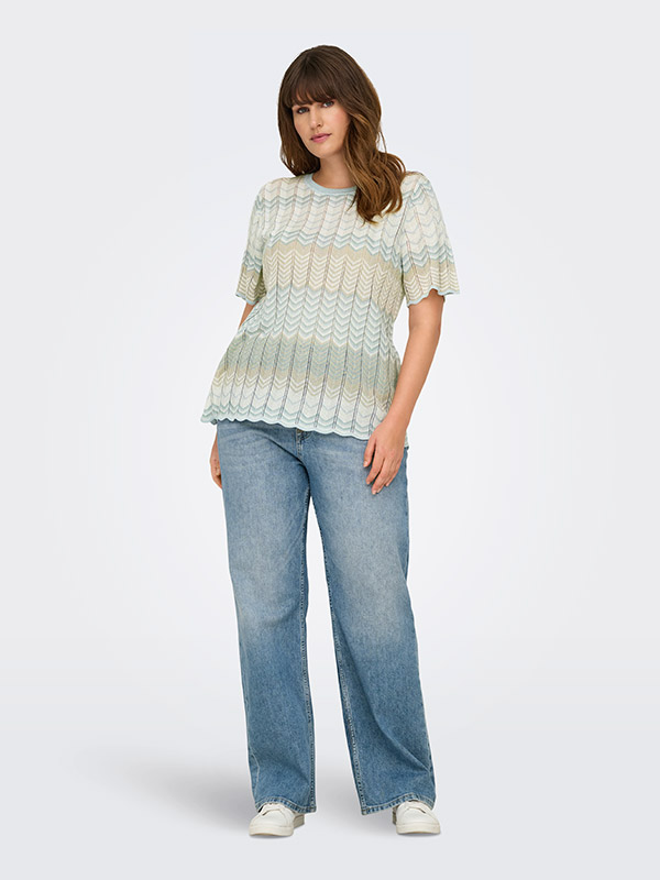 CARALVIRA - Plus Size T-shirt fra Only Carmakoma