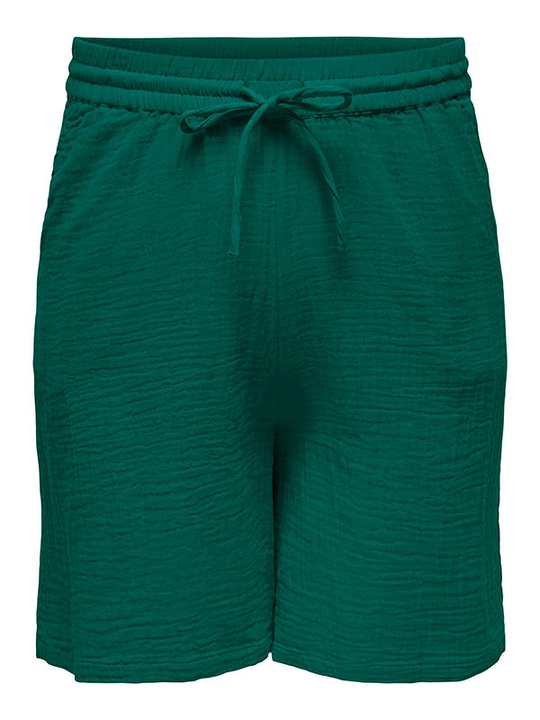 CARTHYRA - Plus Size Shorts fra Only Carmakoma