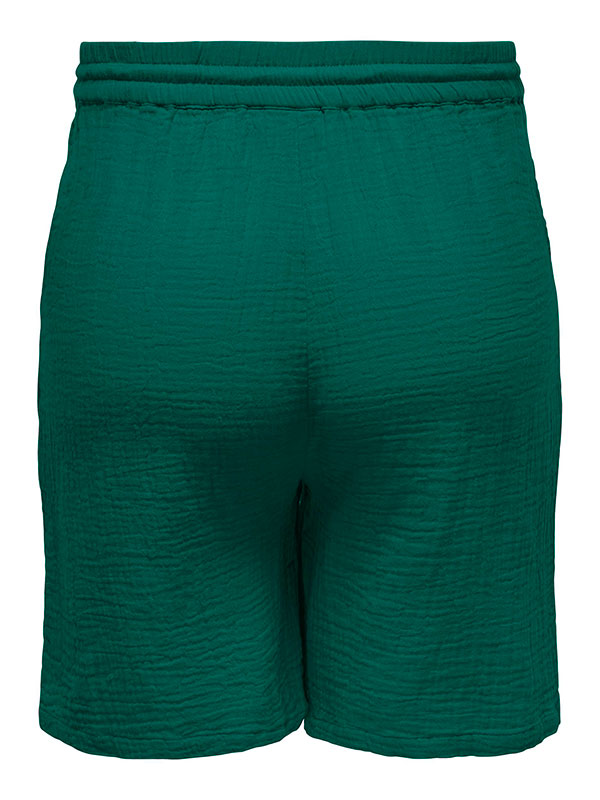 CARTHYRA - Plus Size Shorts fra Only Carmakoma