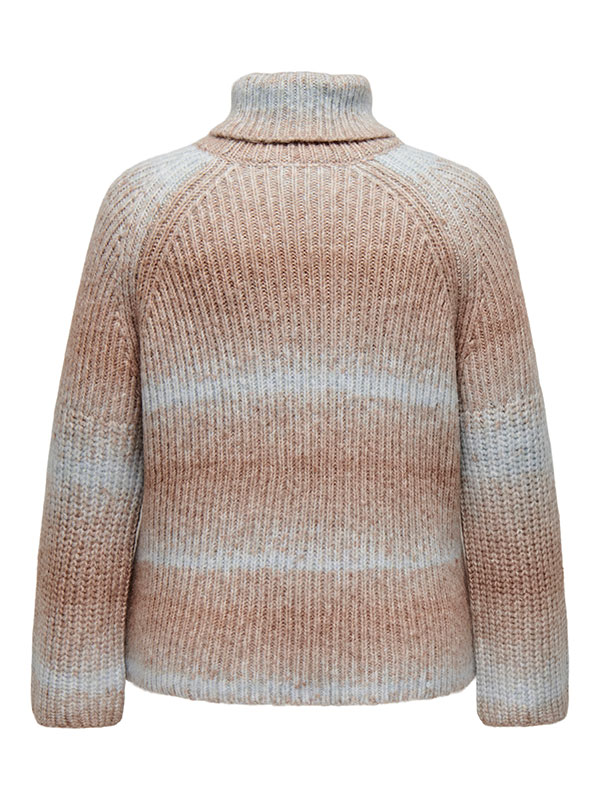 CARDITTE - Plus Size Genser fra Only Carmakoma