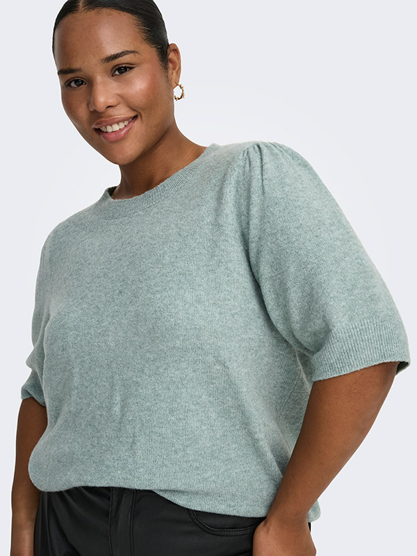 CARRICA - Plus Size Bluse fra Only Carmakoma