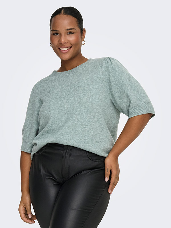 CARRICA - Plus Size Bluse fra Only Carmakoma