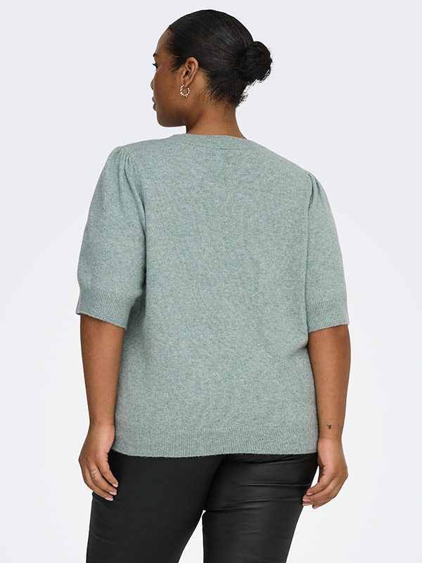 CARRICA - Plus Size Bluse fra Only Carmakoma