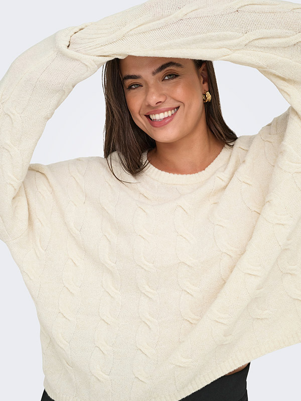 CARJEANETT - Plus Size Genser fra Only Carmakoma