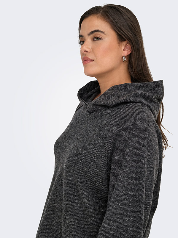 CARBIZZY - Plus Size Genser fra Only Carmakoma