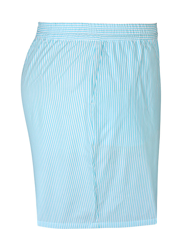 SANDRA - Plus Size Shorts fra Zhenzi
