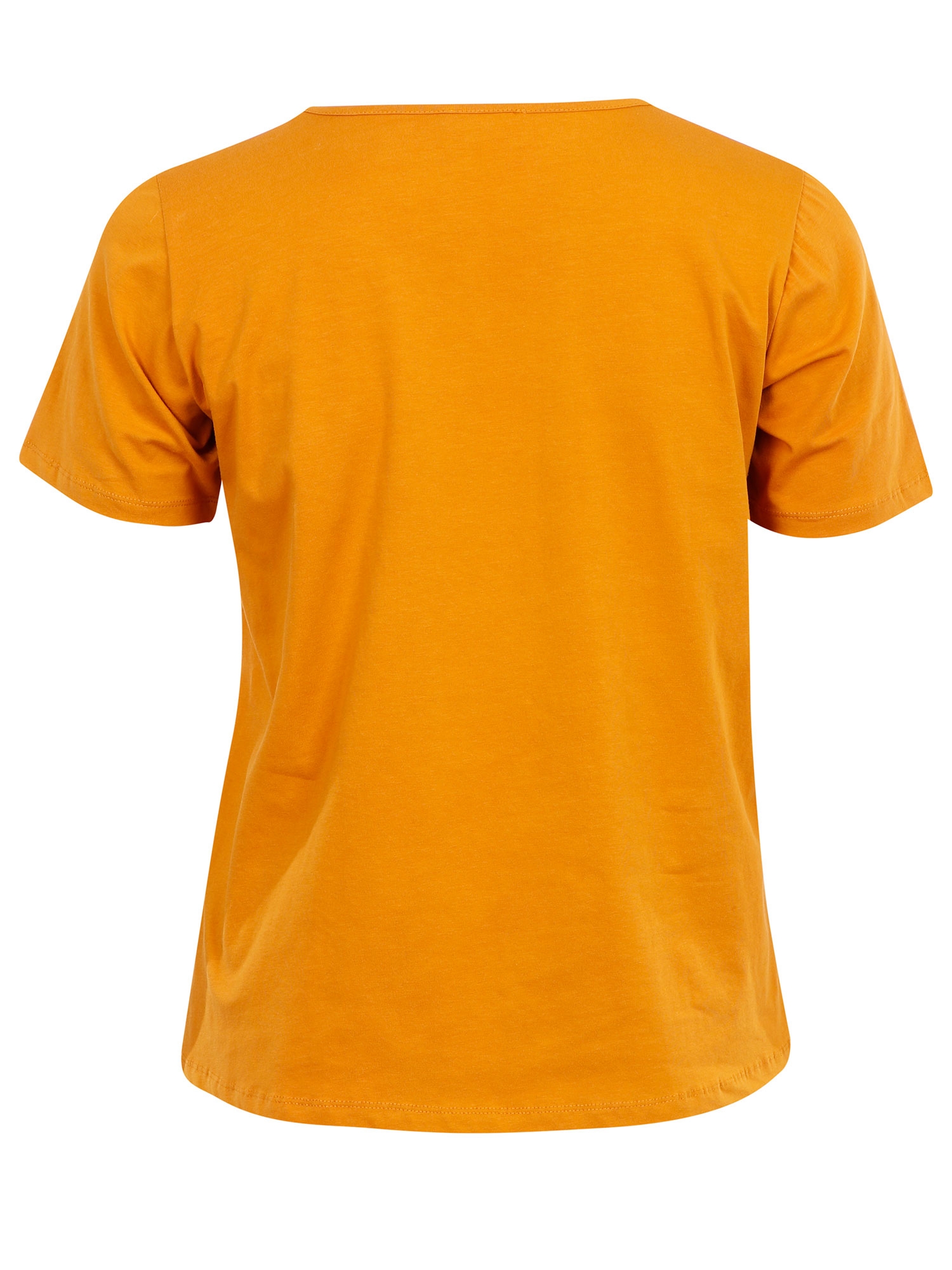 Trenings sweatshirt fra Aprico Sport