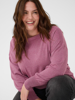 KCREGITTA - Plus Size Genser fra Kaffe Curve