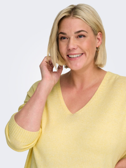 CARMARGARETA - Plus Size Genser fra Only Carmakoma