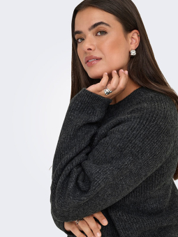 CARJADE - Plus Size Genser fra Only Carmakoma