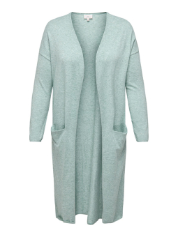 CARNEW - Plus Size Cardigan fra Only Carmakoma
