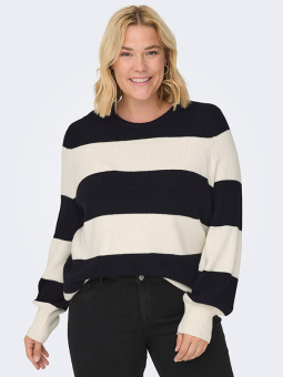 CARNEW - Plus Size Genser fra Only Carmakoma