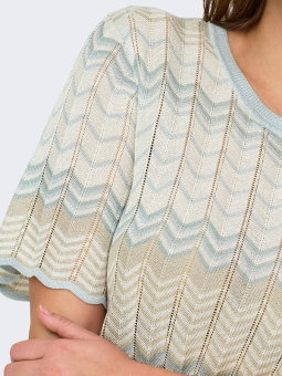 CARALVIRA - Plus Size T-shirt fra Only Carmakoma