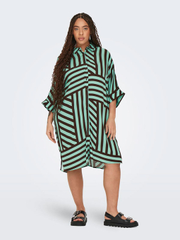 CARCAYLEE - Plus Size Kjole fra Only Carmakoma