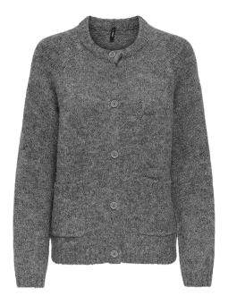 CARSHINE - Plus Size Cardigan fra Only Carmakoma