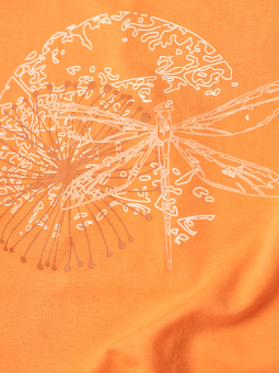 GITTE - Plus Size T-shirt fra Gozzip