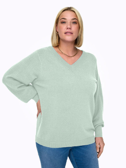 CARIBI - Plus Size Genser fra Only Carmakoma
