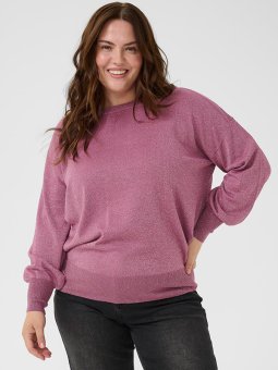 KCREGITTA - Plus Size Genser fra Kaffe Curve