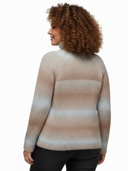 CARDITTE - Plus Size Genser fra Only Carmakoma