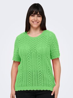CARSAGA - Plus Size Bluse fra Only Carmakoma