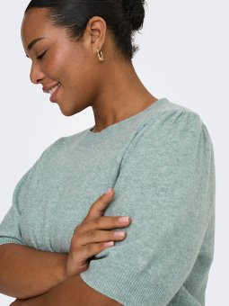 CARRICA - Plus Size Bluse fra Only Carmakoma