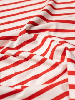 CARNEW - Plus Size T-shirt fra Only Carmakoma