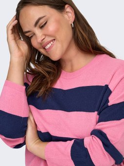 CARDERRY - Plus Size Genser fra Only Carmakoma