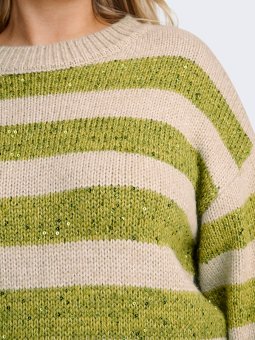 CARDUNDEE - Plus Size Genser fra Only Carmakoma