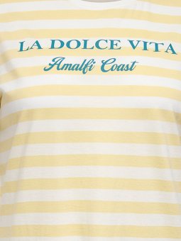 CARCLARA - Plus Size T-skjorte fra Only Carmakoma