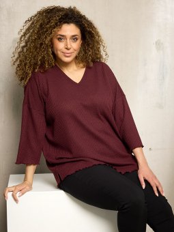 ZH-CORI - Plus Size Bluse fra Zhenzi