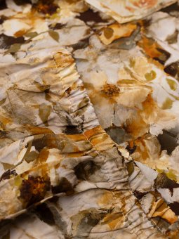 SINE - Plus Size Bluse fra Studio